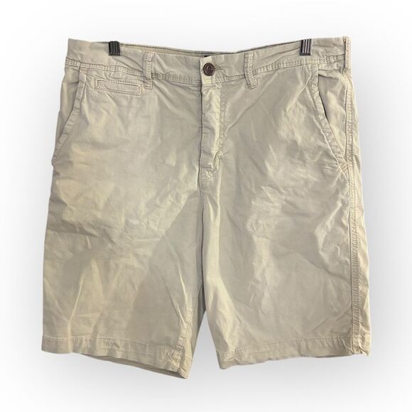 American Eagle Outfitters Tan Flat Front Shorts - Picture 1 of 5